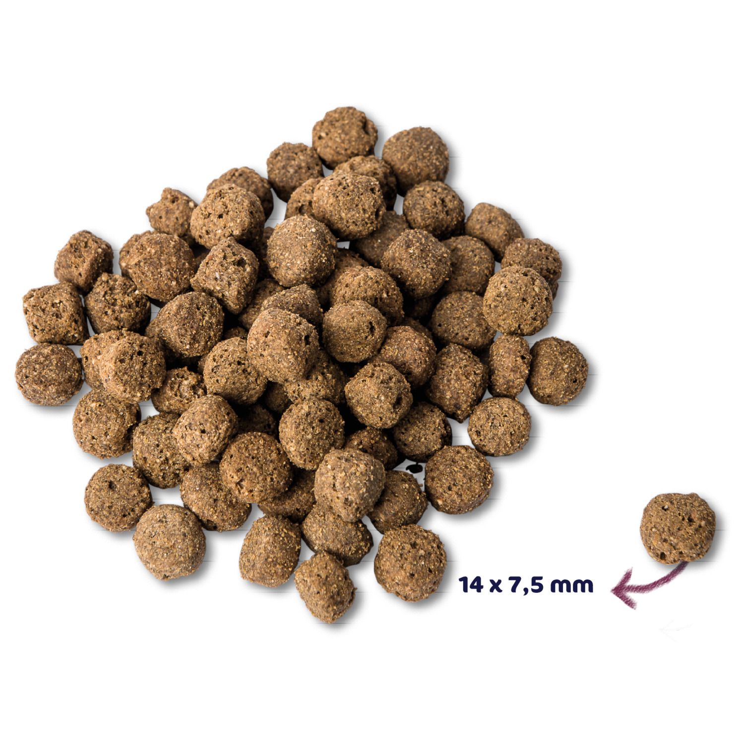 Renske Adult Verse Kip