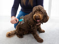 Volledige behandeling medium hond